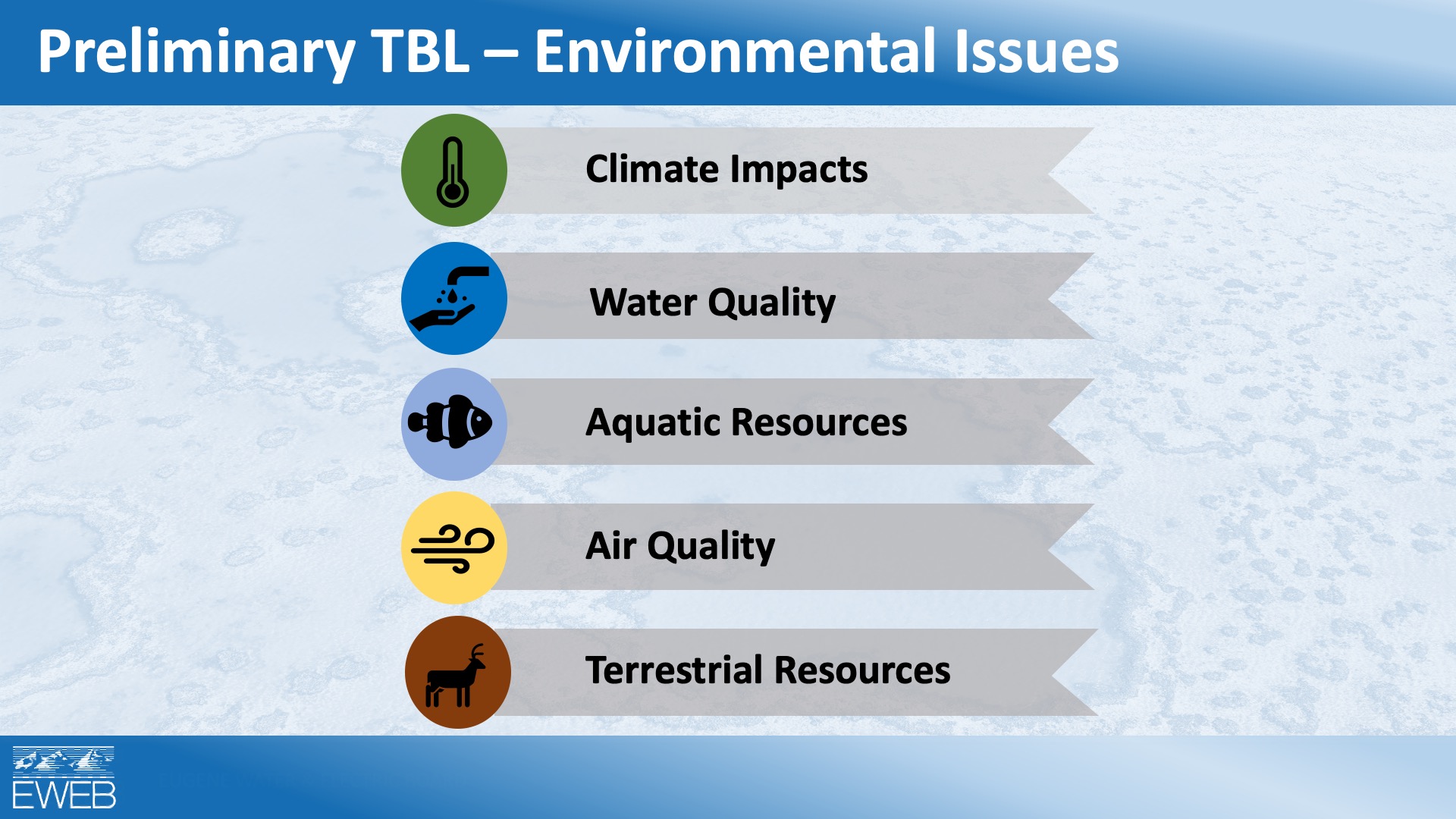 Leaburg Project environmental impacts