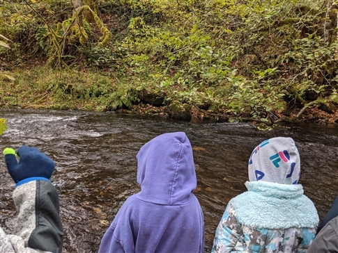 three third graders look for salmon in lake creek