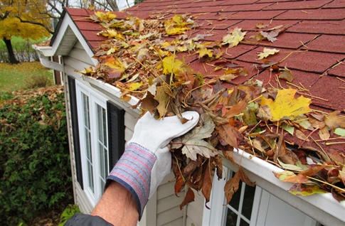 man cleaning leaves out of gutter
