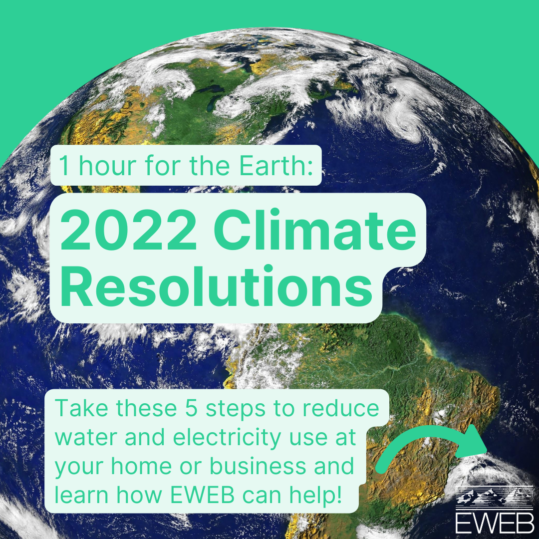1 hour for the Earth - 2022 Climate Resolutions.