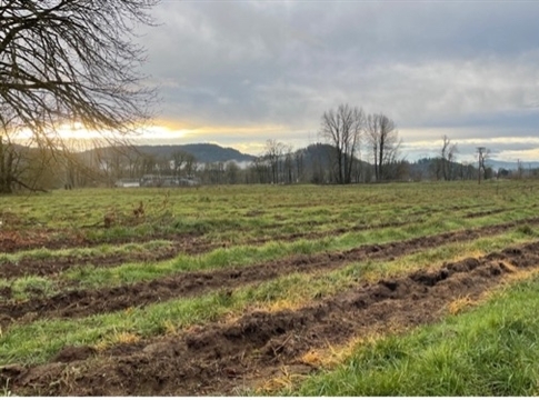 view overlooking a field of tilled rows ready to be planted