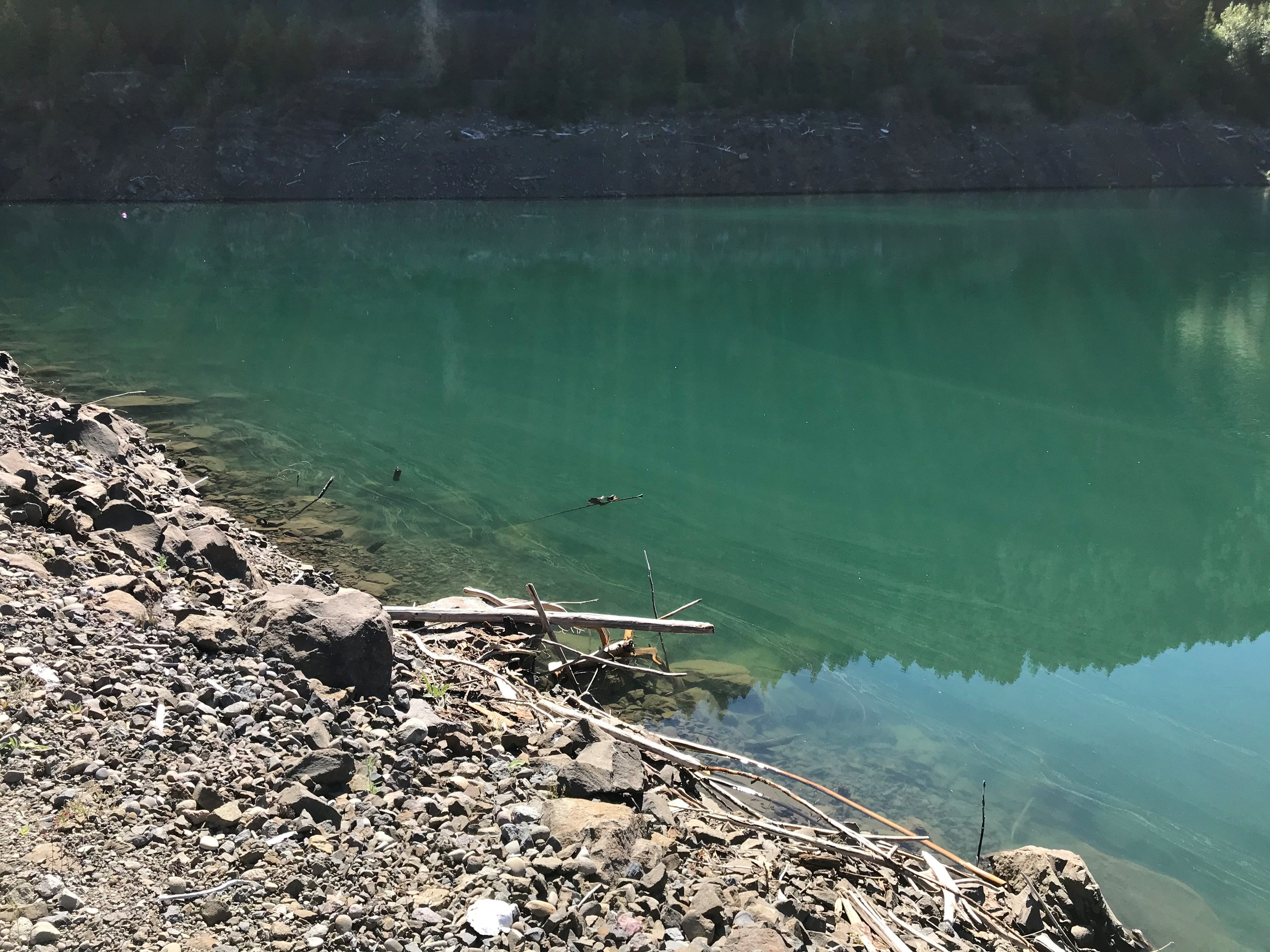 An algae bloom at Cougar Reservoir produces a hazy surface.