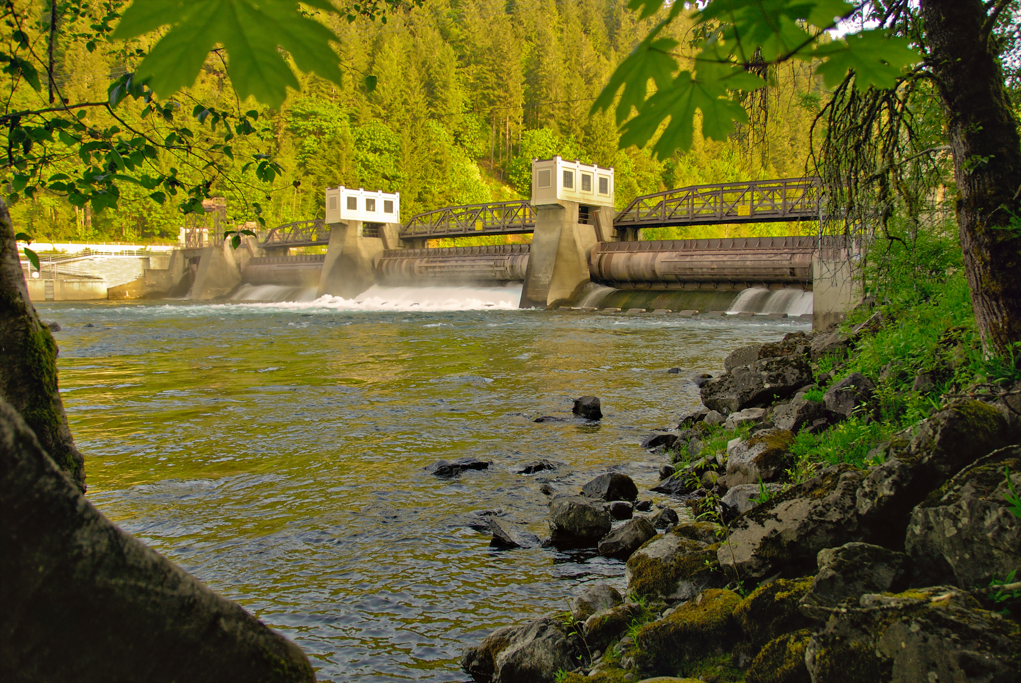 Leaburg Dam