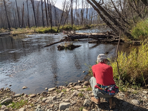 Woman kneels by river, trees in background, some in the water.