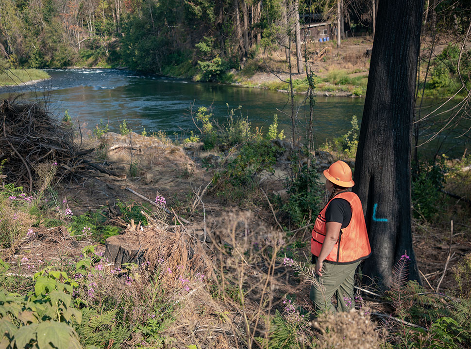 Lara Colley with the McKenzie Watershed Council surveys burn slash at Whitewater Ranch