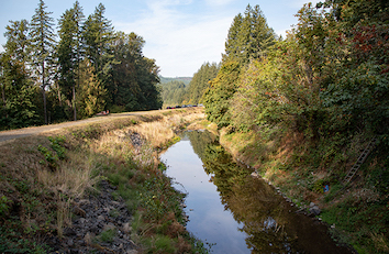 Leaburg Canal