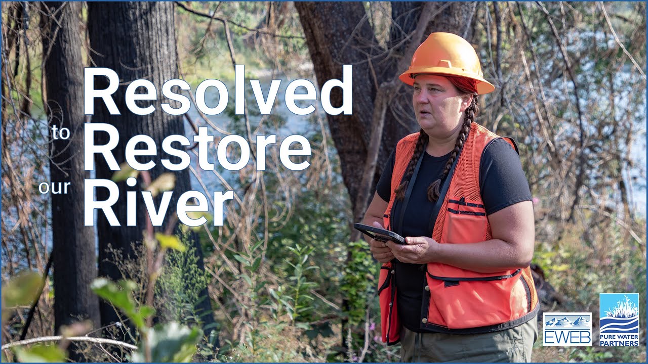 Lara Colley works to restore the McKenzie Valley