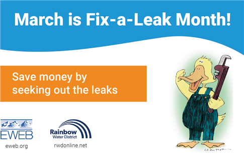 Graphic showing duck holding wrench with local utilities logos (EWEB, SUB & Rainbow)