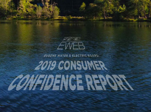 Cover of 2019 Water Quality Report