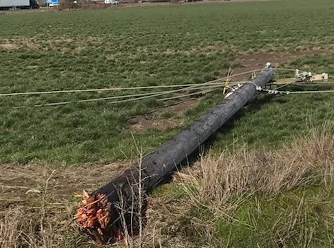 Broken power pole sheared by ice