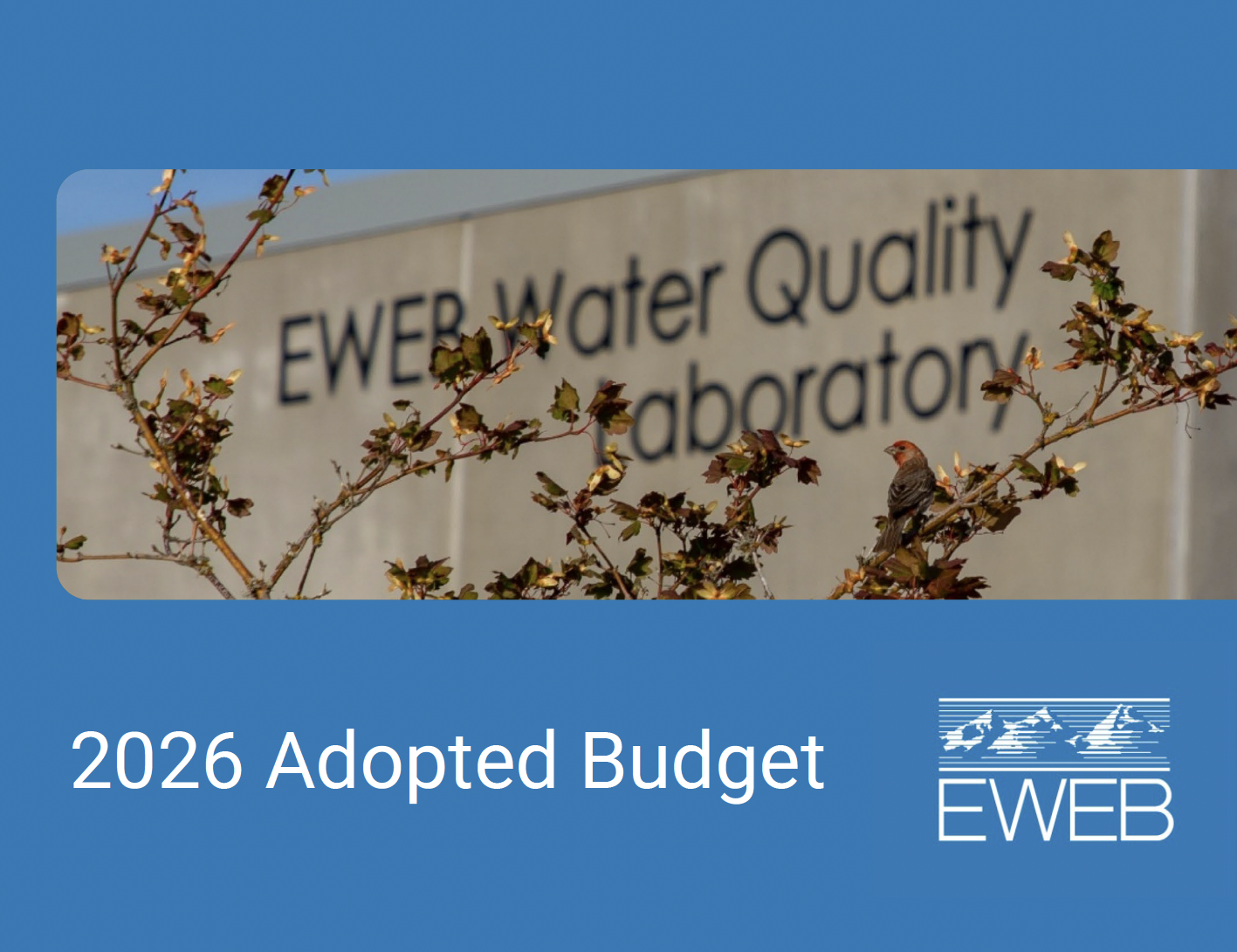 Cover of the approved budget document 