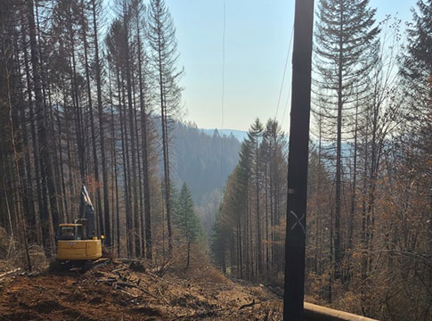 Power line corridor with burned trees on either side