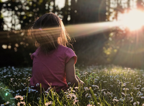 Child sitting in a sunny field