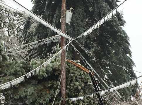 Power lines sagging under the weight of ice and damaged trees