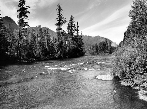 McKenzie River in black and white