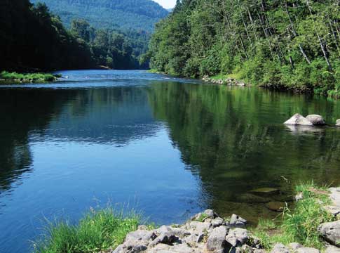 McKenzie River with rocks and trees