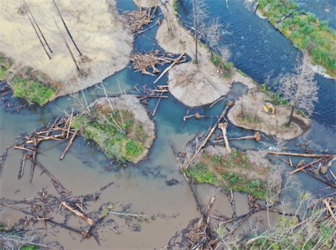 Restoration work on the McKenzie River. Courtesy of Brent Ross, McKenzie River Trust