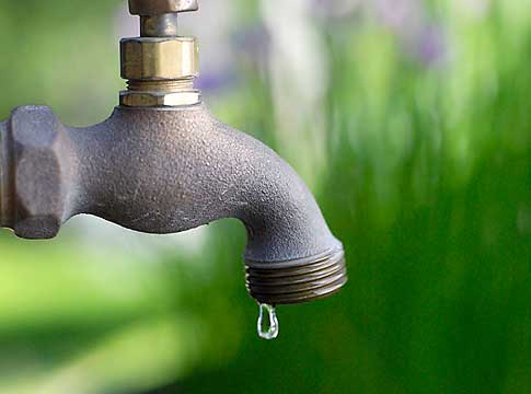 sprinkler watering a lawn