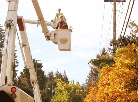 Two crew members trimming trees with bucket truck