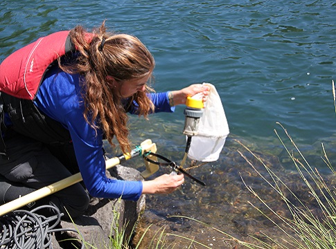 EWEB staff taking water quality samples