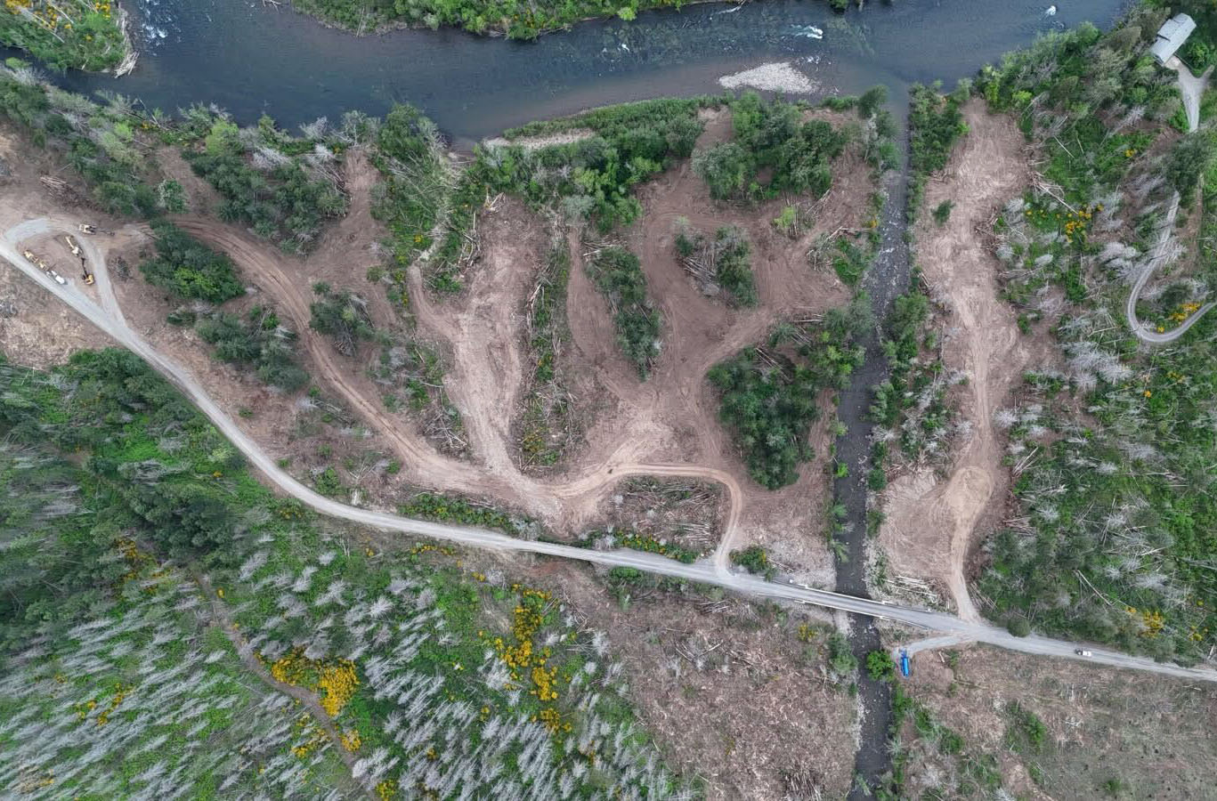 Aerial image looking down at the Quartz Creek confluence with the McKenzie River, at top of photo, with newly-cleared pathways indicating where excavation for floodplain connectivity will occur.