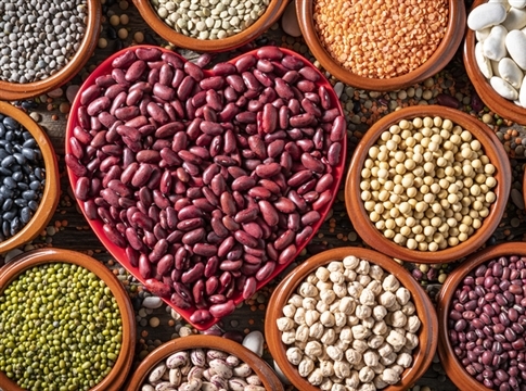 Beans, Legumes, and Pulses – Oh My!