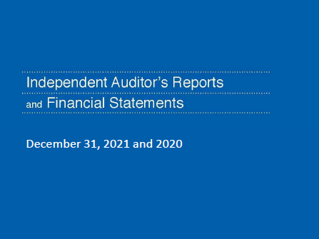 Cover of the financial report with a blue background.