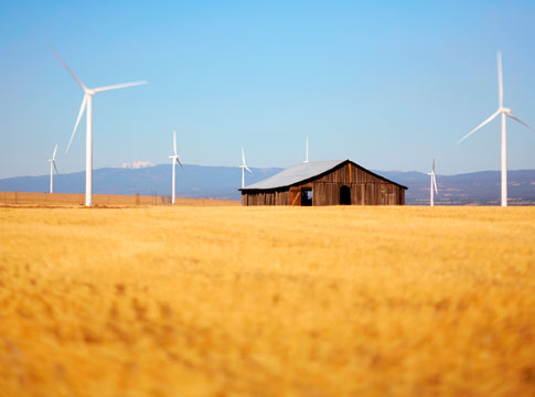 Old wood building in middle of a field with wind turbines.
