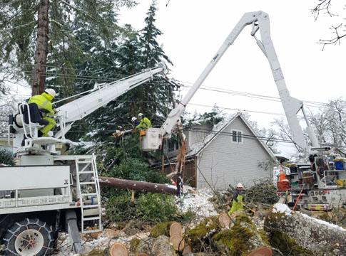 Crews working to restore power brought down by trees