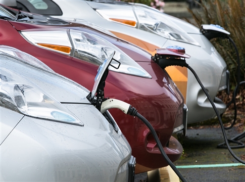 Picture of several electric cars plugged in and charging