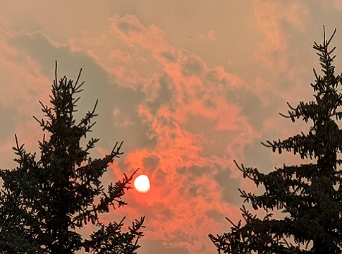 Smoky sky and sun with trees in the foreground