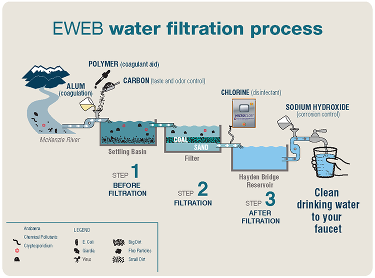 best well water filter system