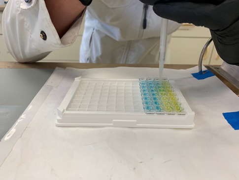 Lab technician running cyanotoxin tests