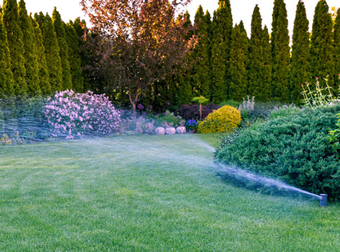 Sprinklers in green lawn with flower beds
