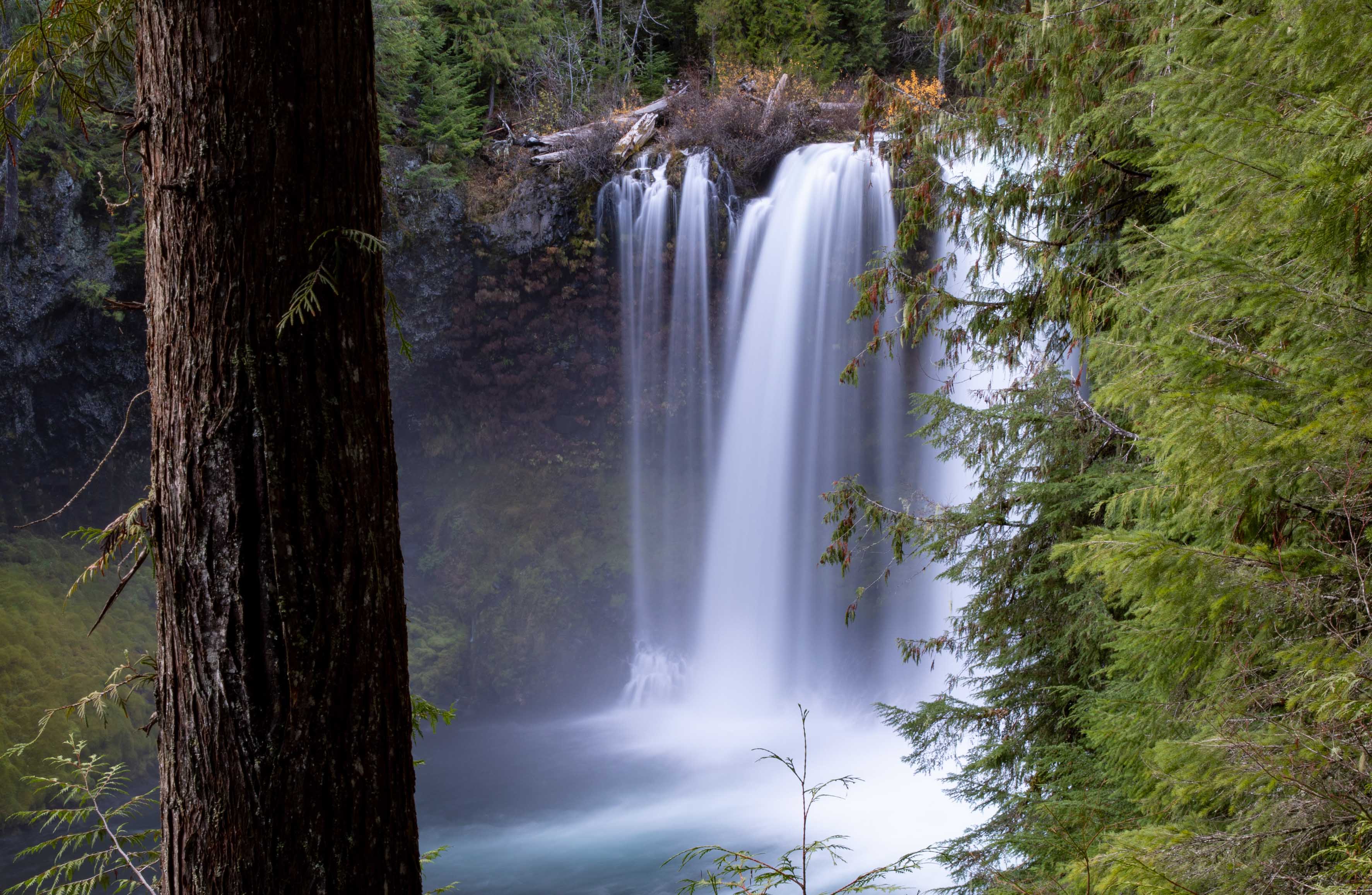 Koosah Falls demonstrates the amazing water quality of the McKenzie River